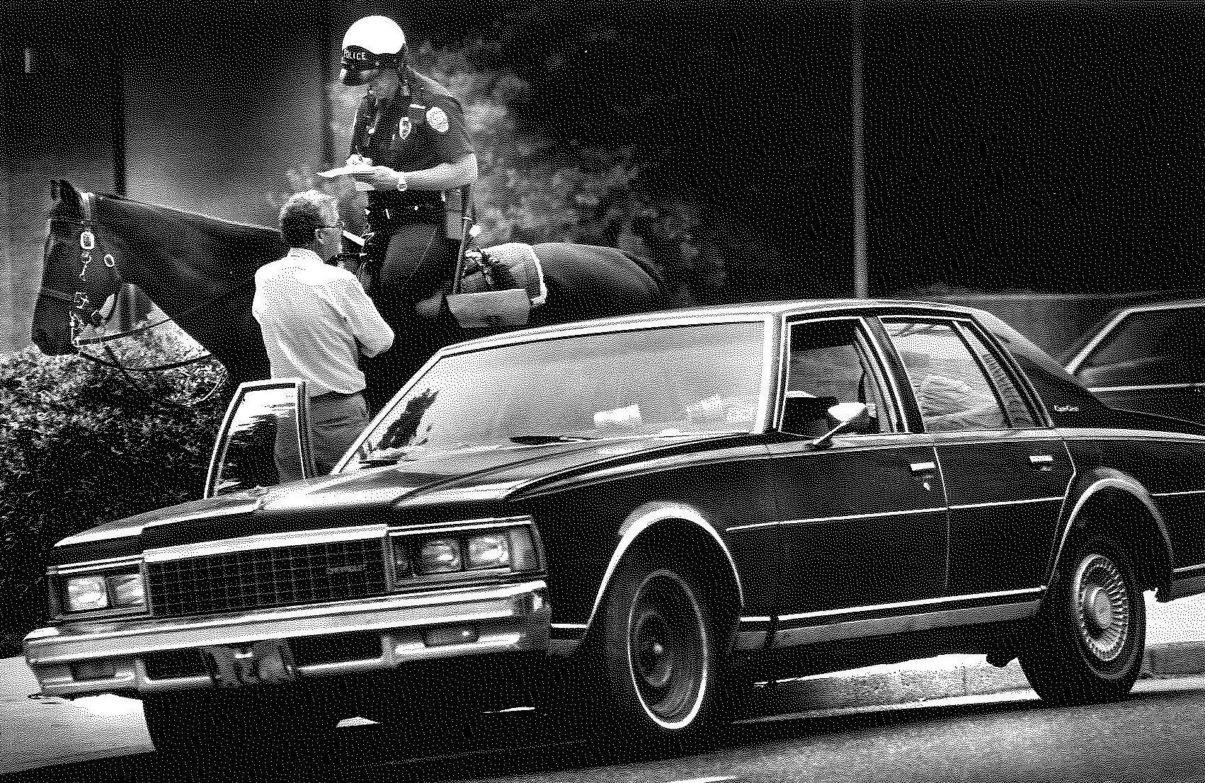 Police horses